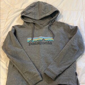 Patagonia Gray Women’s Hoodie